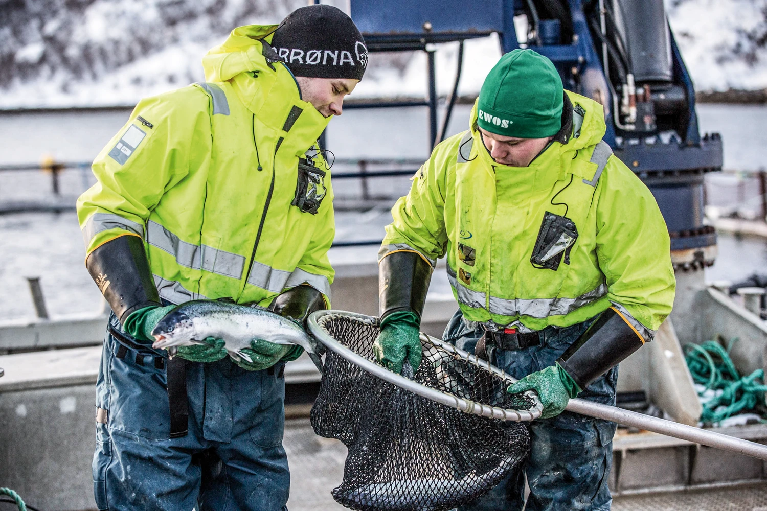 Two men checking the fish at a fish farm - bravoseafood.no