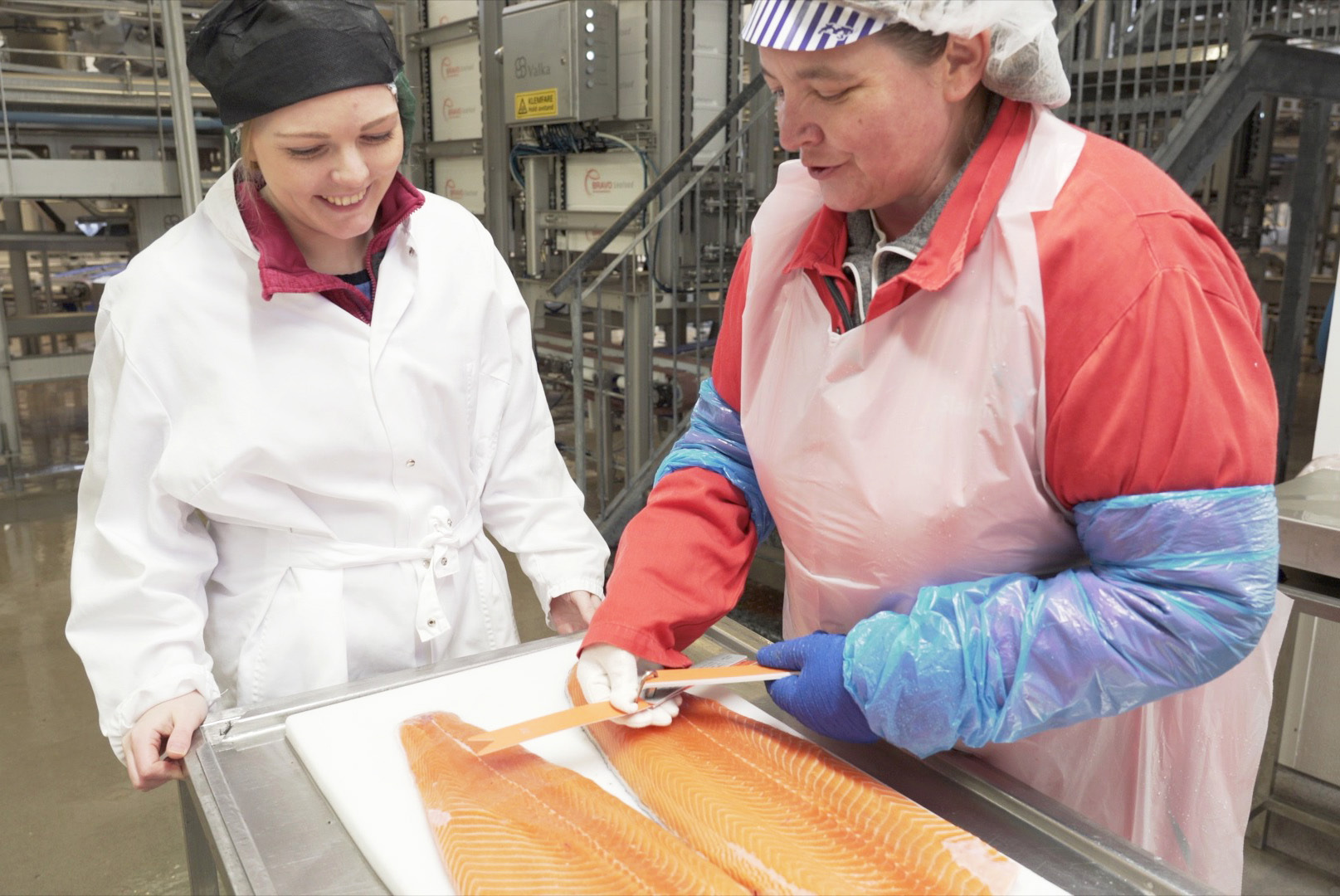 Sunniva på besøk hos Slakteriet for å kvalitetssikre laksen - bravoseafood.no