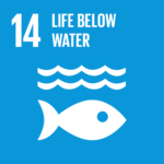 United Nations Sustainable Development Goals, SDGs - bravoseafood.no